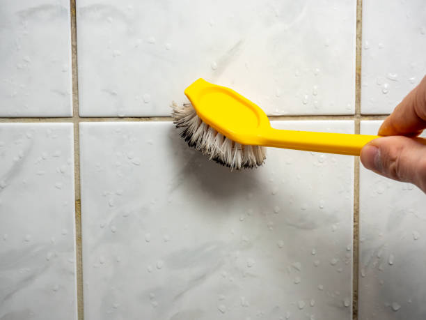 Best Office Mold Removal Services  in Bronxville, NY