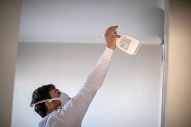 Best Certified Mold Removal  in Bronxville, NY