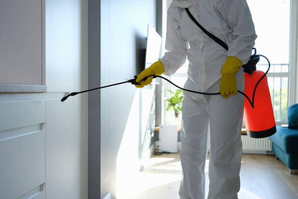 Best Toxic Mold Removal  in Bronxville, NY