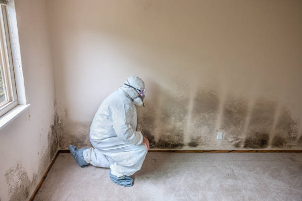 Best Mold Testing  in Bronxville, NY